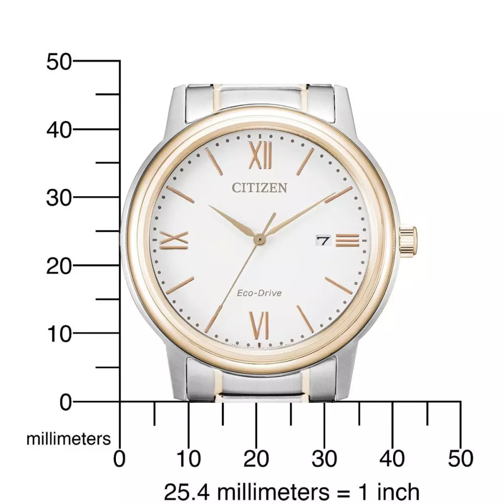 CITIZEN_AW1676-86A